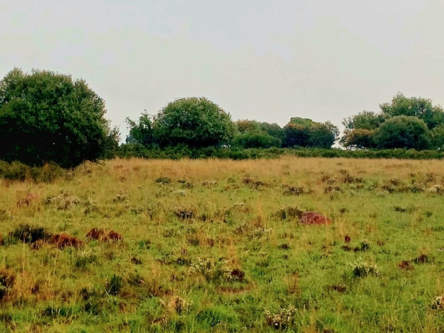 3 Bedroom Property for Sale in Bloemfontein Rural Free State